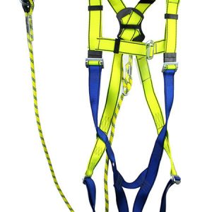 Harness
